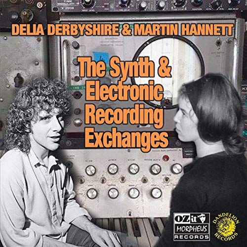 Synth & Electronic Recording Exchanges cover art