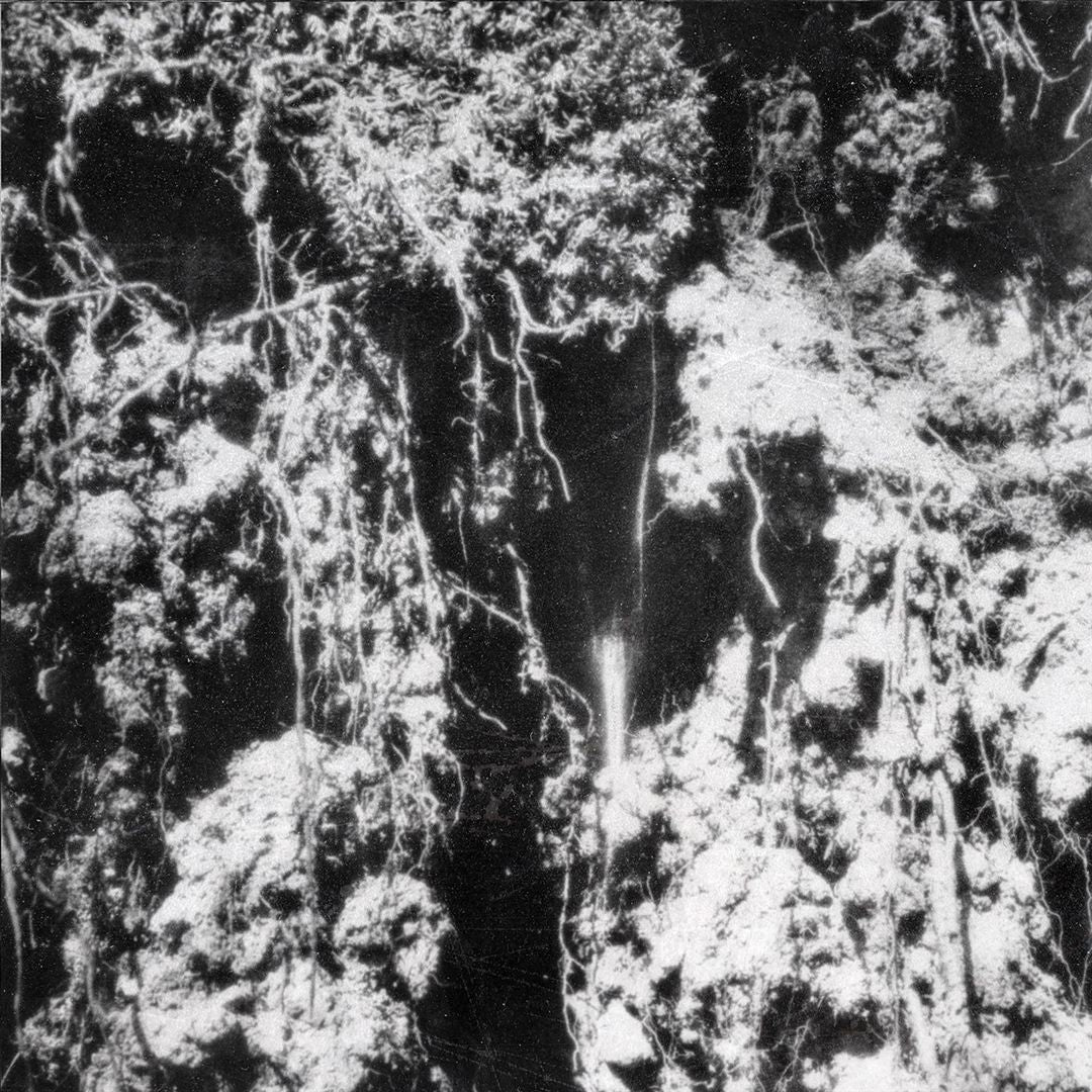 Sorte Død cover art