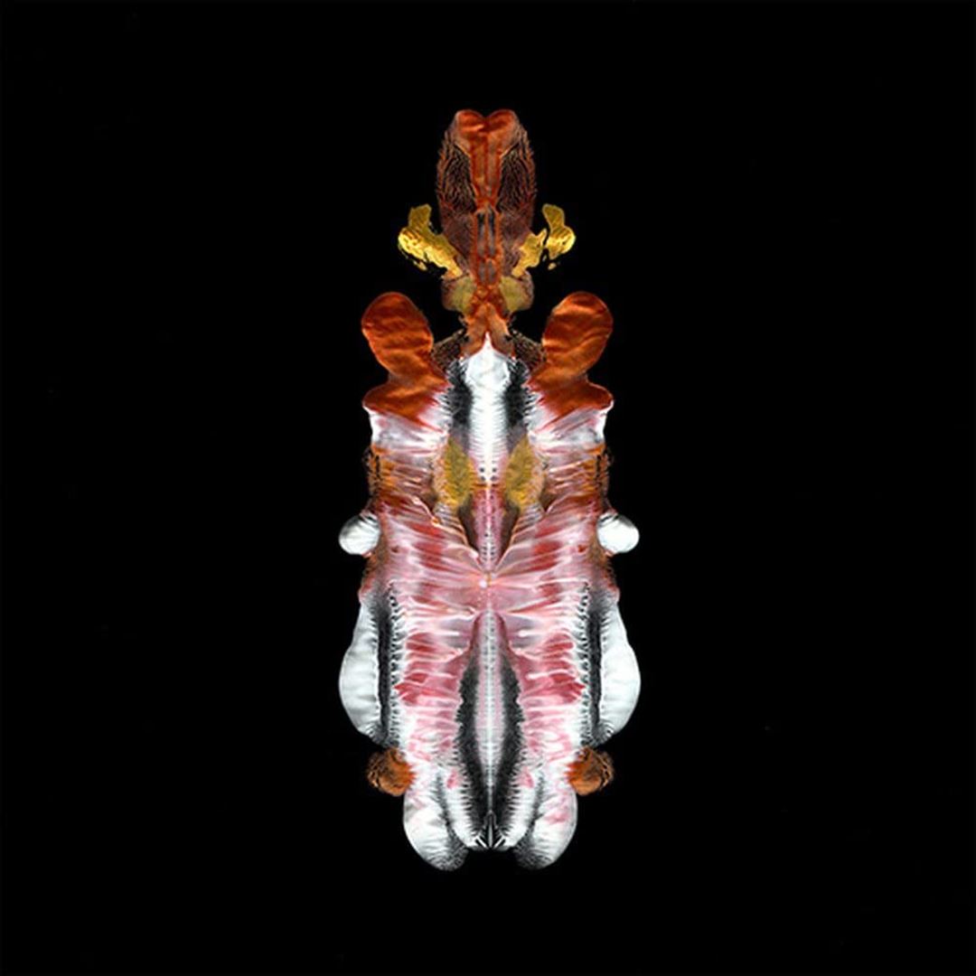 Will to Burn cover art