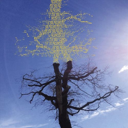 Rooting for Love cover art