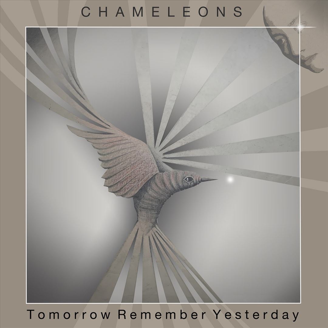 Tomorrow, Remember Yesterday cover art