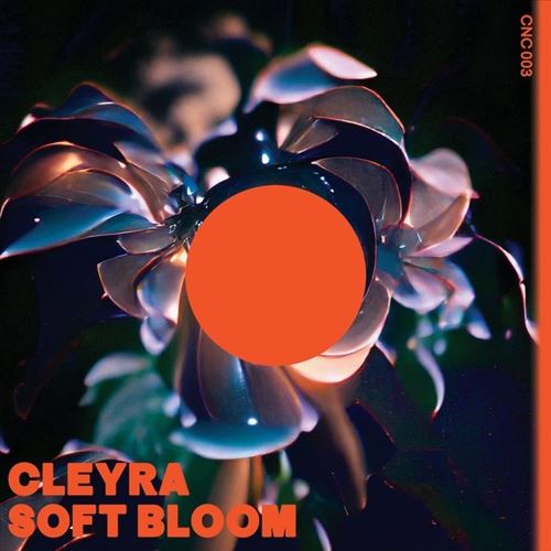 Soft Bloom cover art