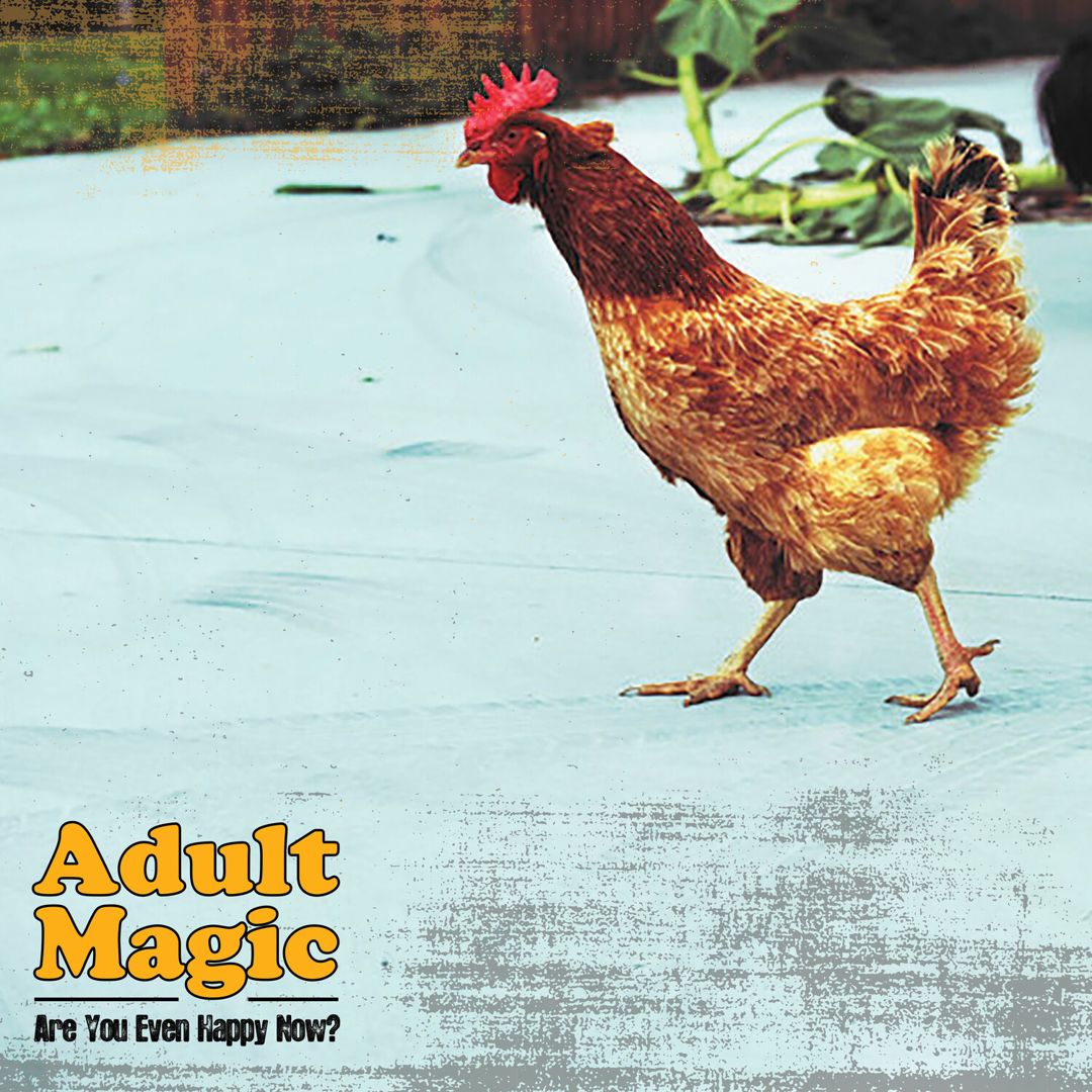 Are You Even Happy Now? cover art