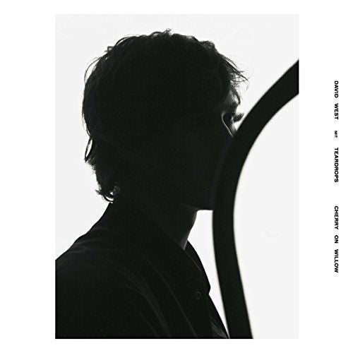 Cherry on Willow cover art