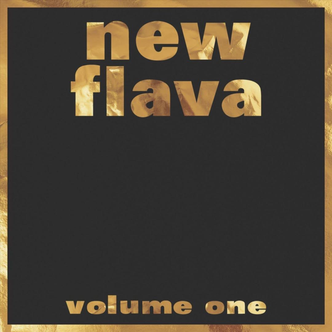 New Flava, Vol. 1 cover art