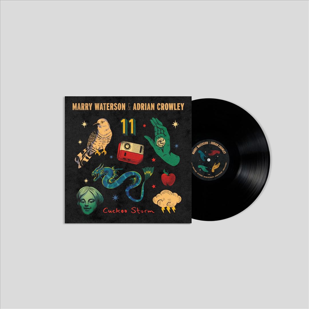Cuckoo Storm cover art