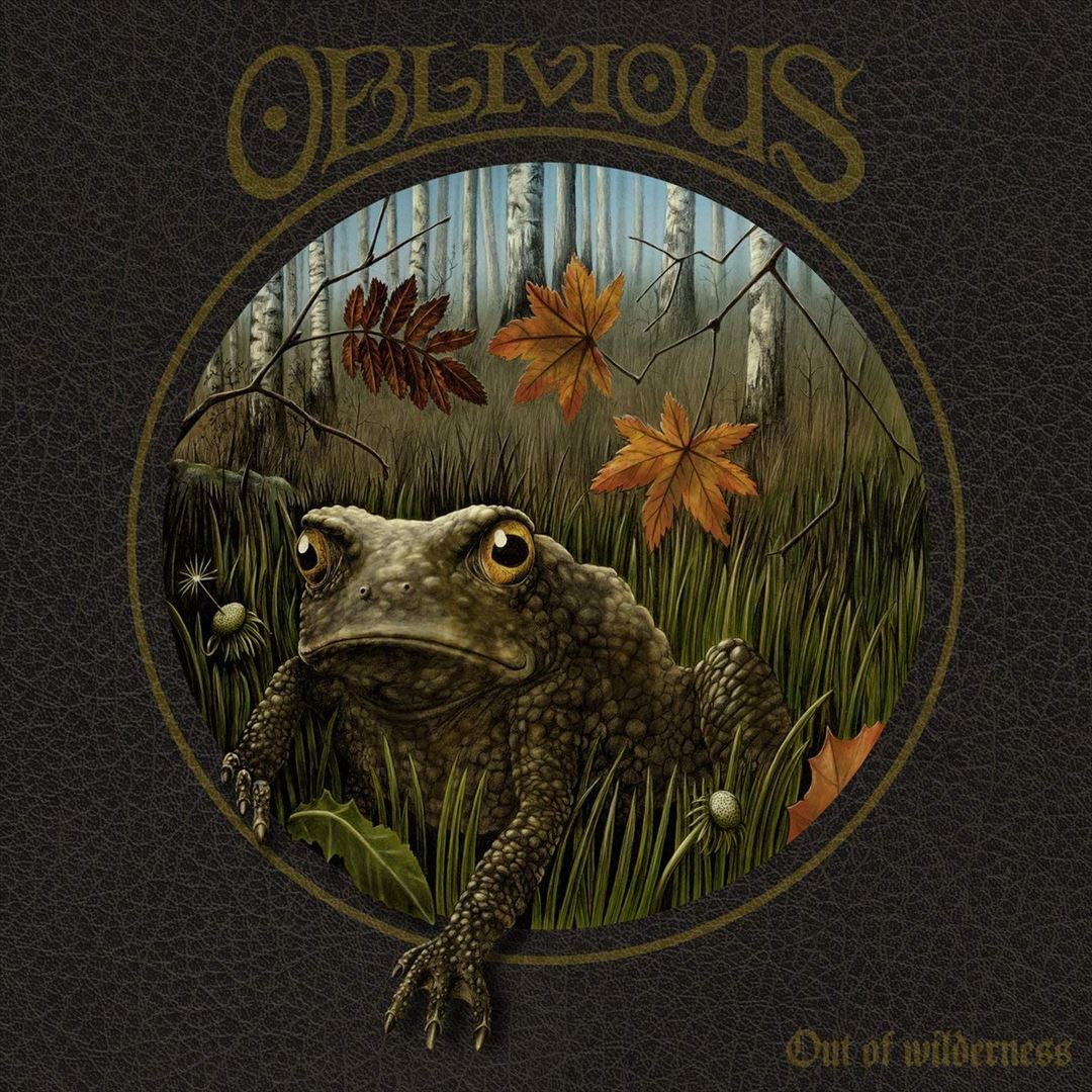 Out of Wilderness cover art