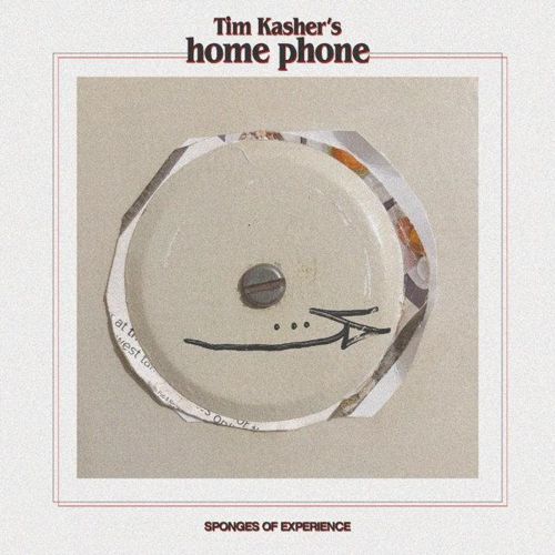 Sponges of Experience cover art