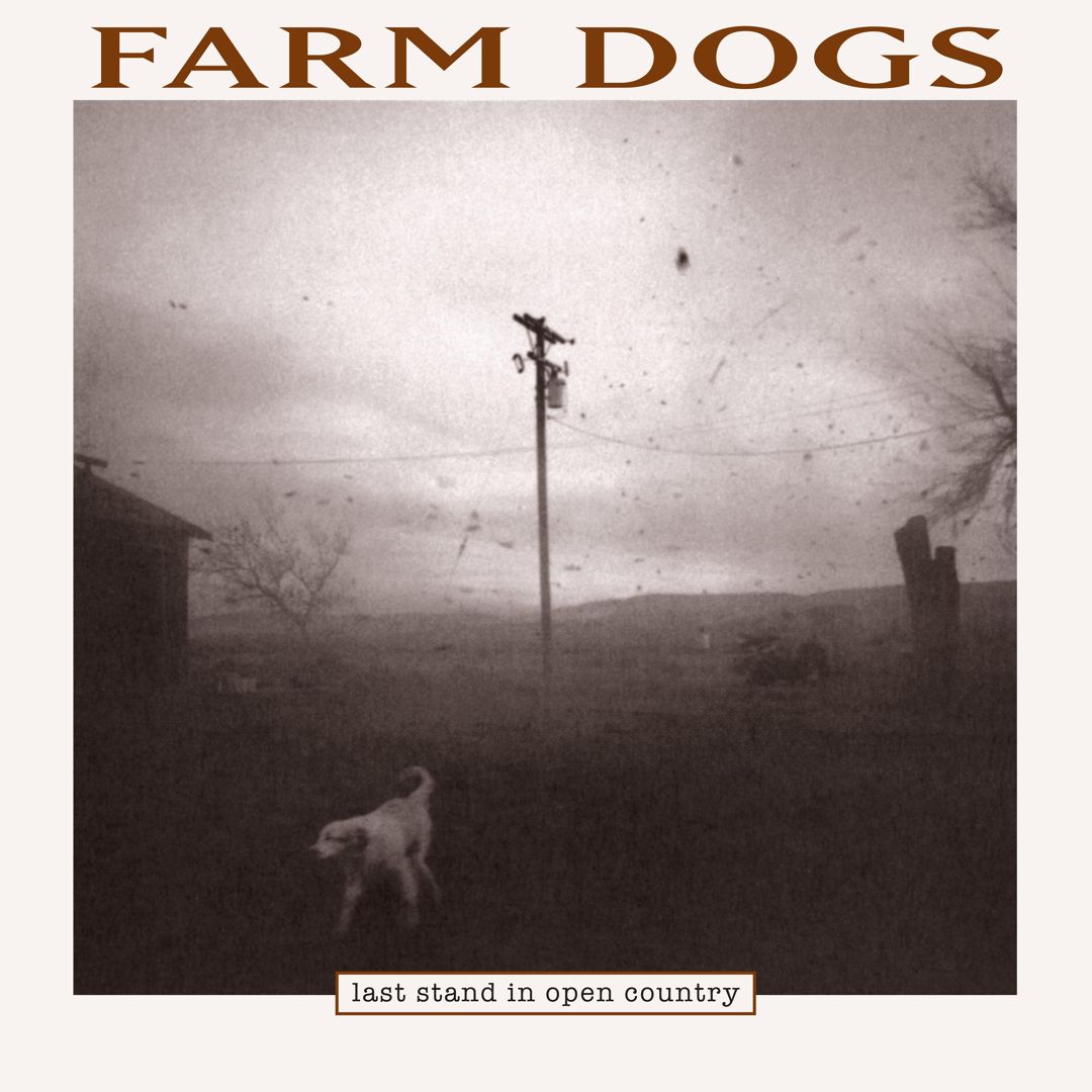 Last Stand in Open Country cover art