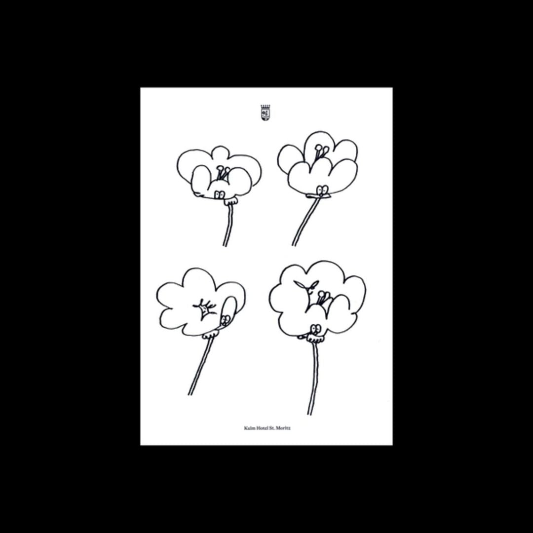 Poppies cover art
