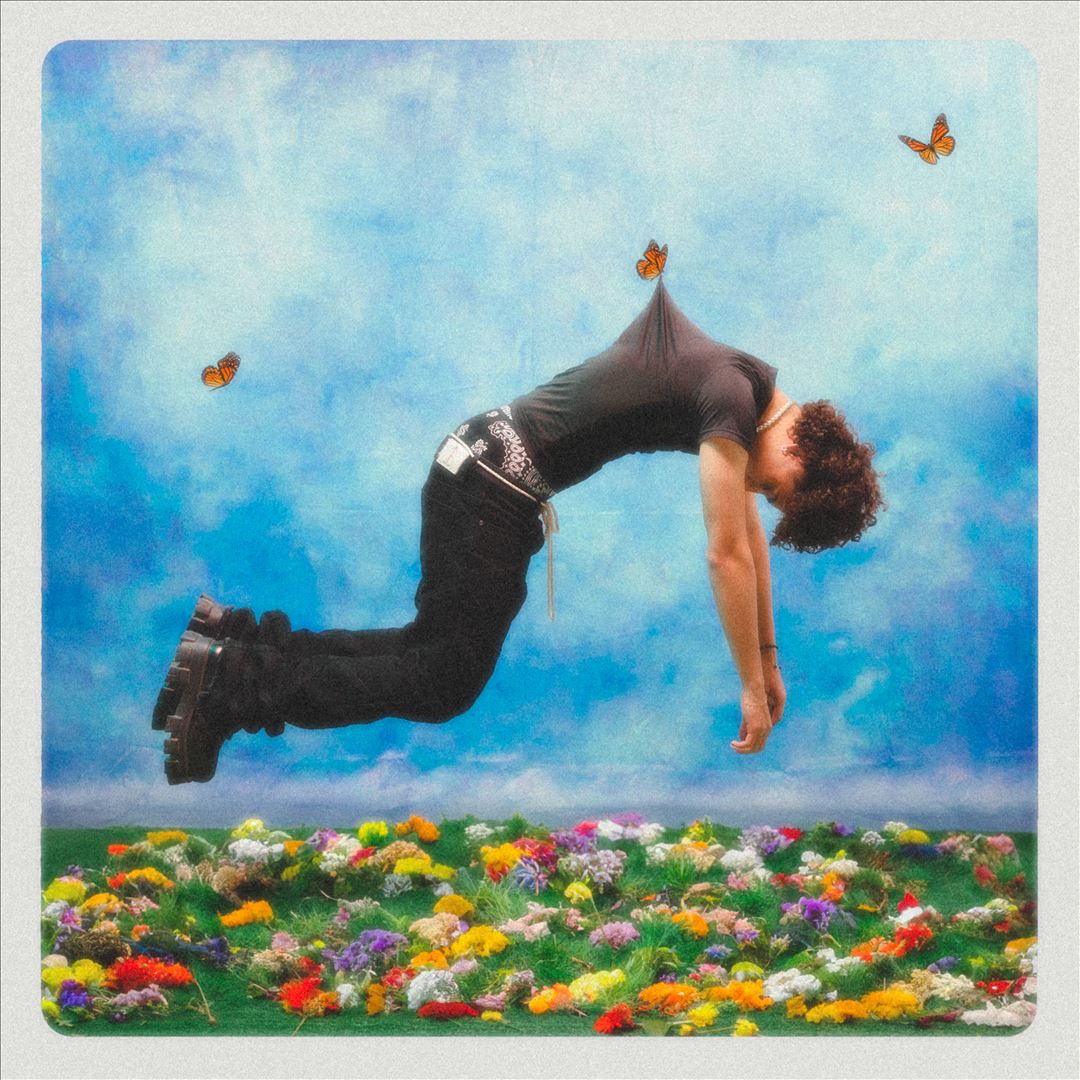 DLUX cover art