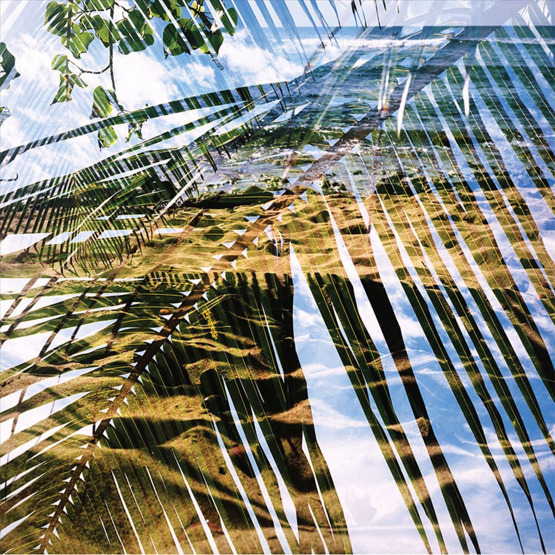 Dogs on Acid cover art