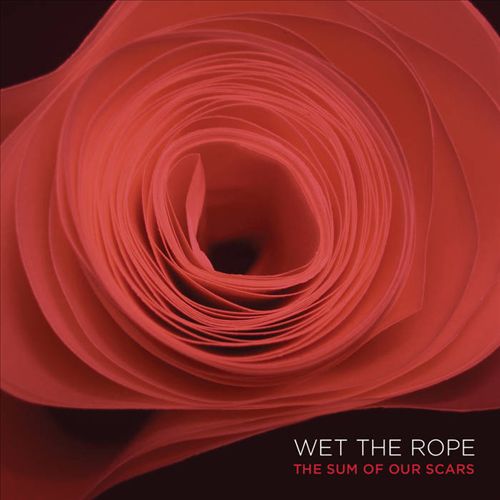 Sum of Our Scars cover art