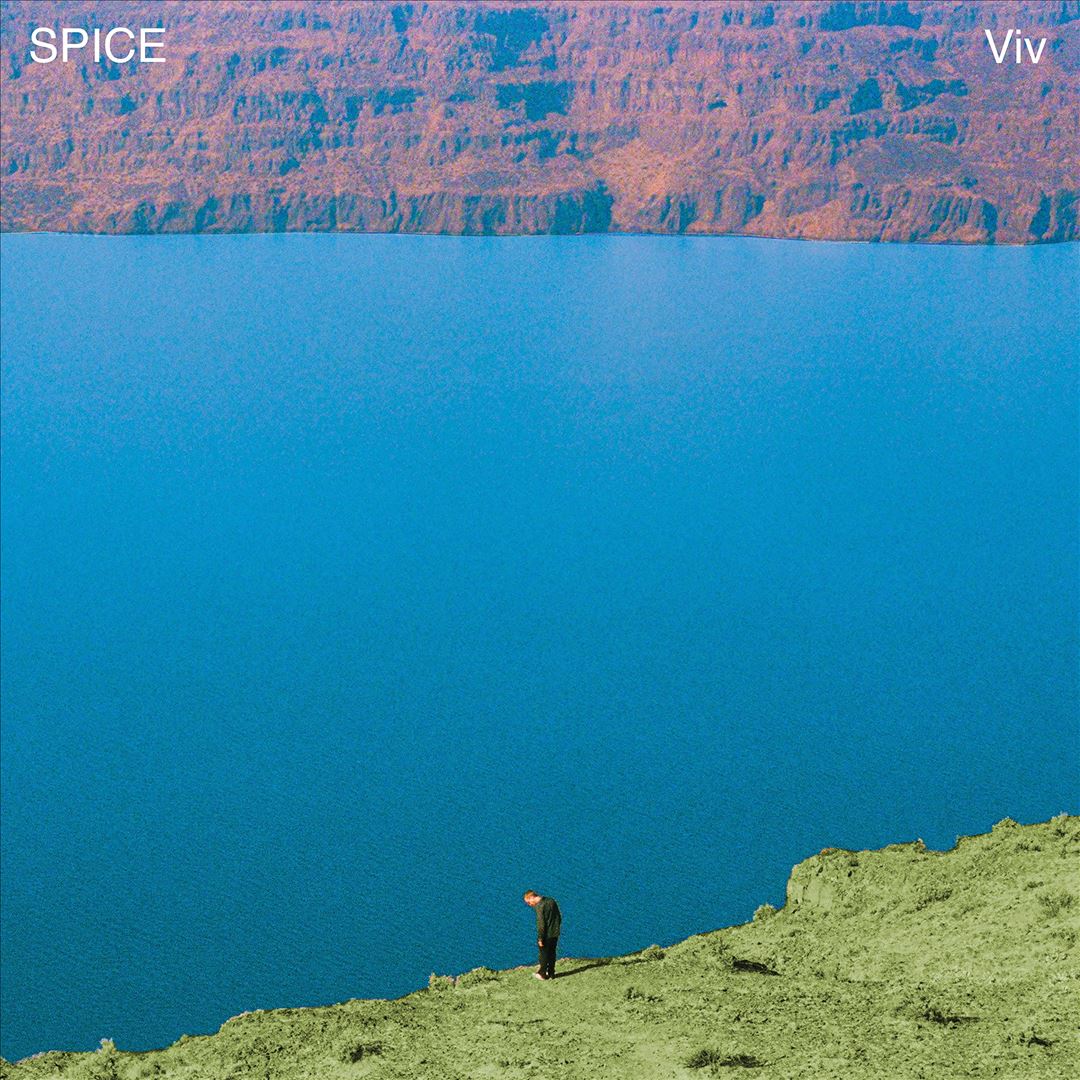 VIV cover art