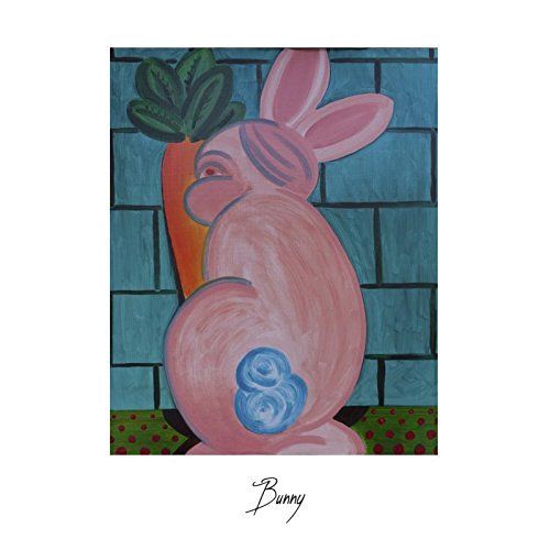 Bunny cover art