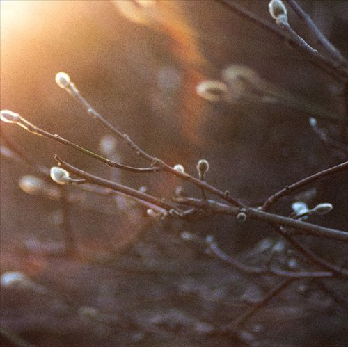 English Ghosts cover art