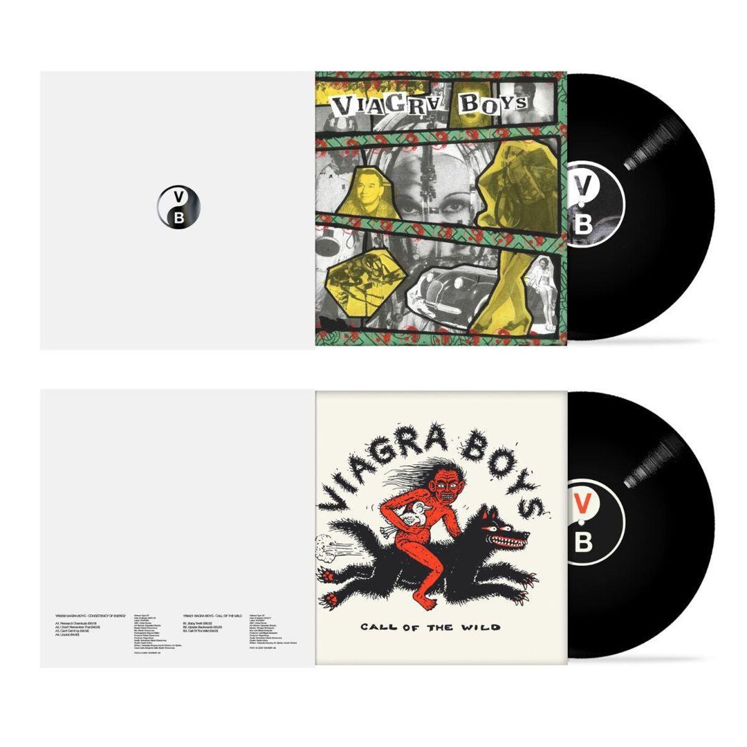 Consistency of Energy/Call of the Wild cover art