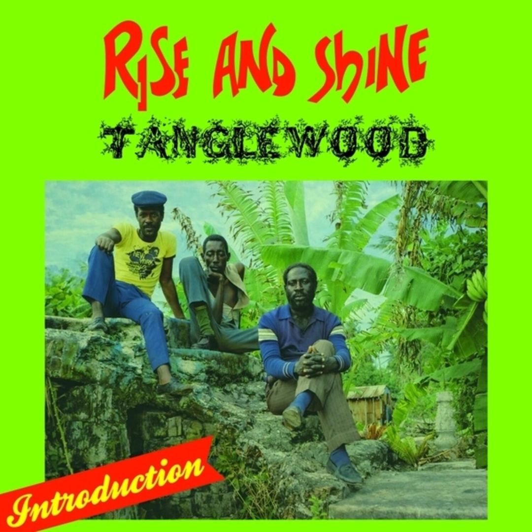 Rise and Shine cover art