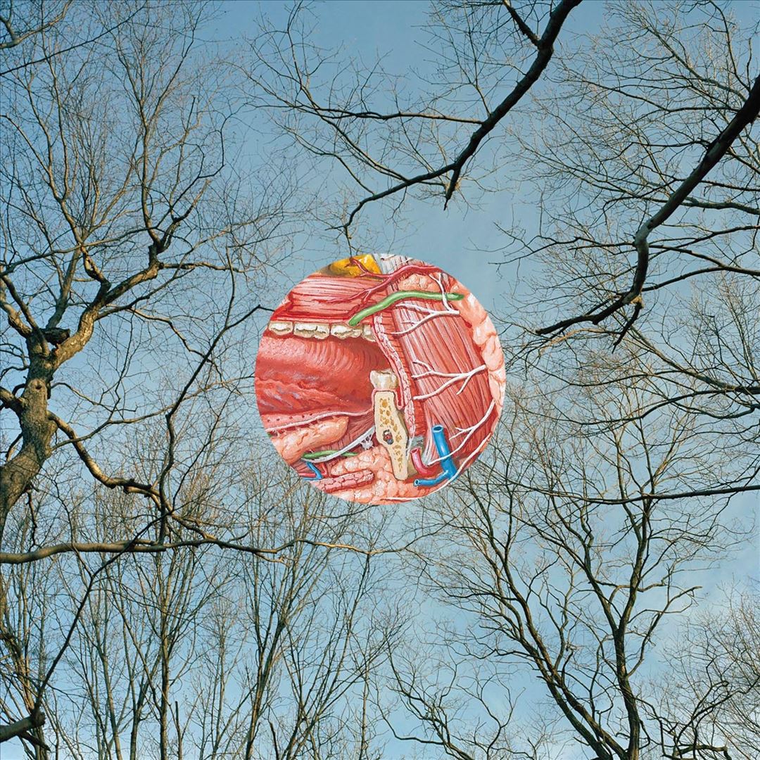 Glean cover art
