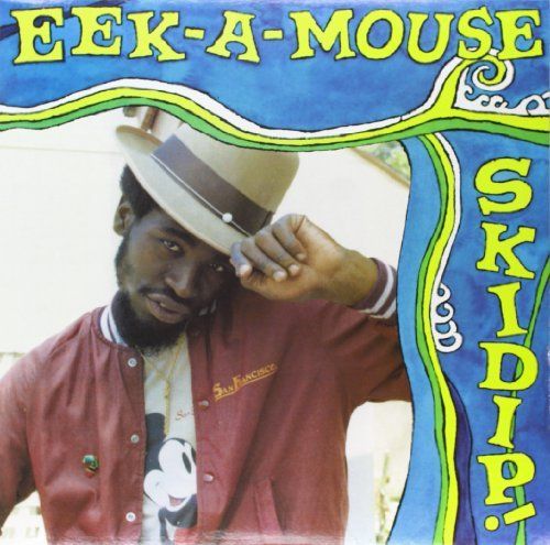 Skidip! cover art