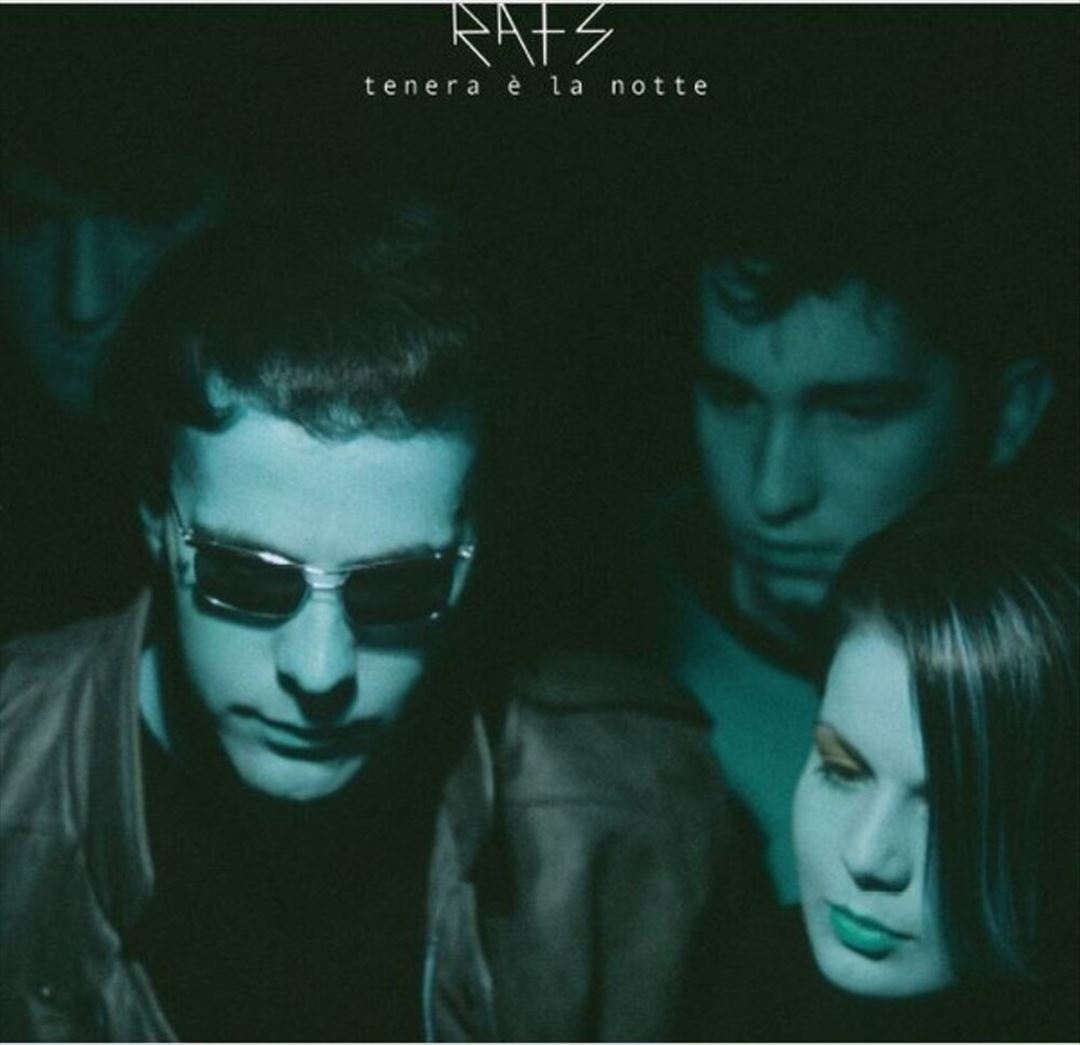 Tenera È la Notte cover art