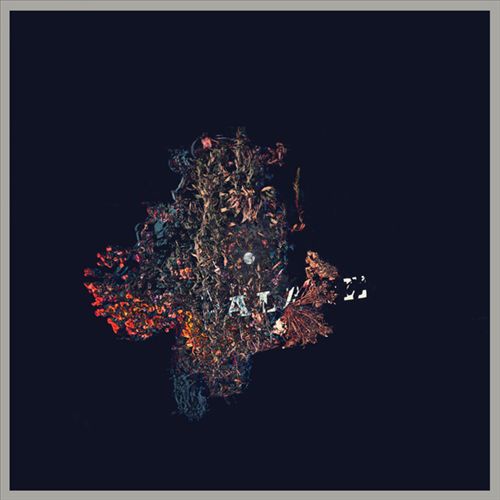 Palace cover art