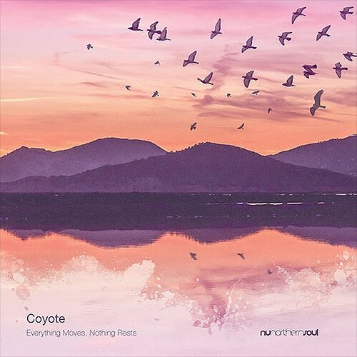 Everything Moves Nothing Rests cover art