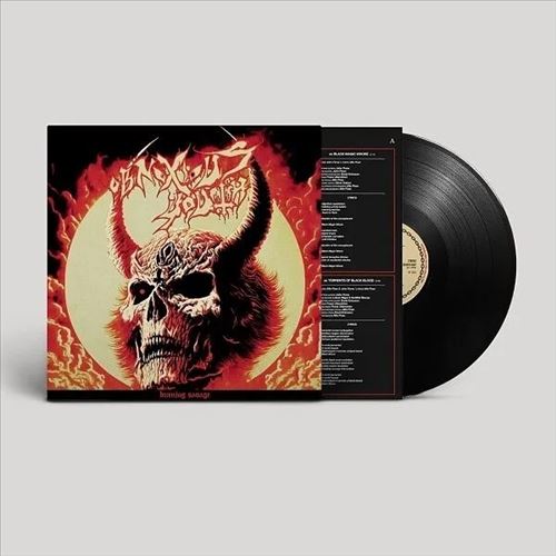 Burning Savage cover art