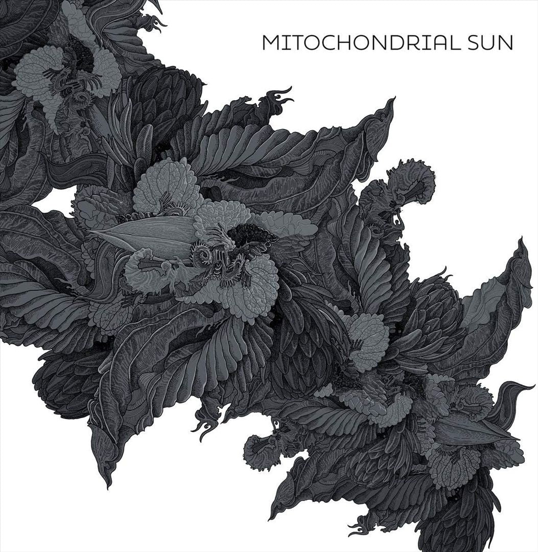 Mitochondrial Sun cover art