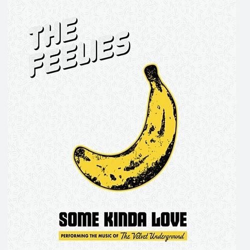 Some Kinda Love: Performing the Music of the Velvet Underground cover art