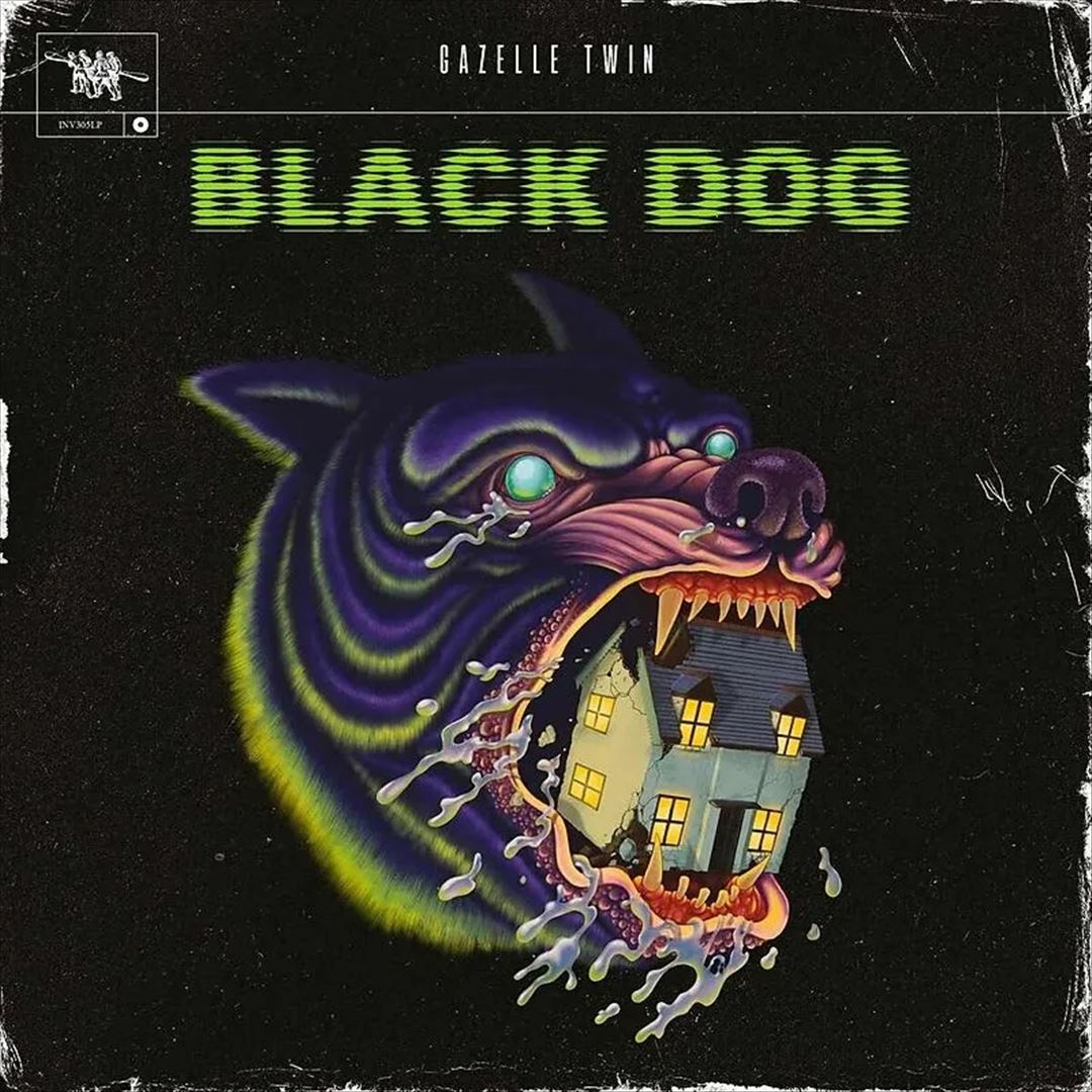 Black Dog cover art