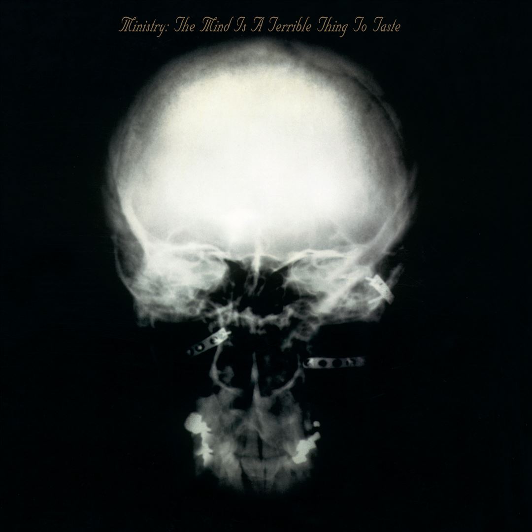 The Mind Is a Terrible Thing to Taste cover art