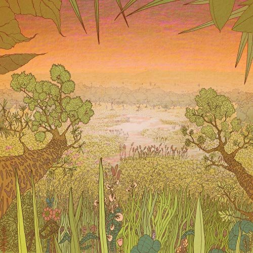 Mirage on the Meadow cover art
