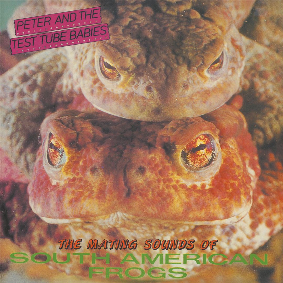 Mating Sounds of South American Frogs cover art