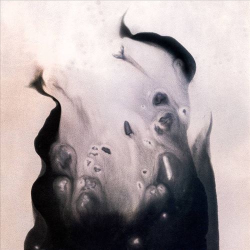 Salt cover art