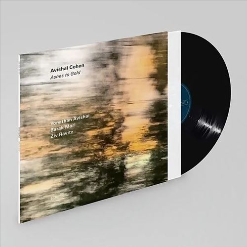 Ashes To Gold cover art