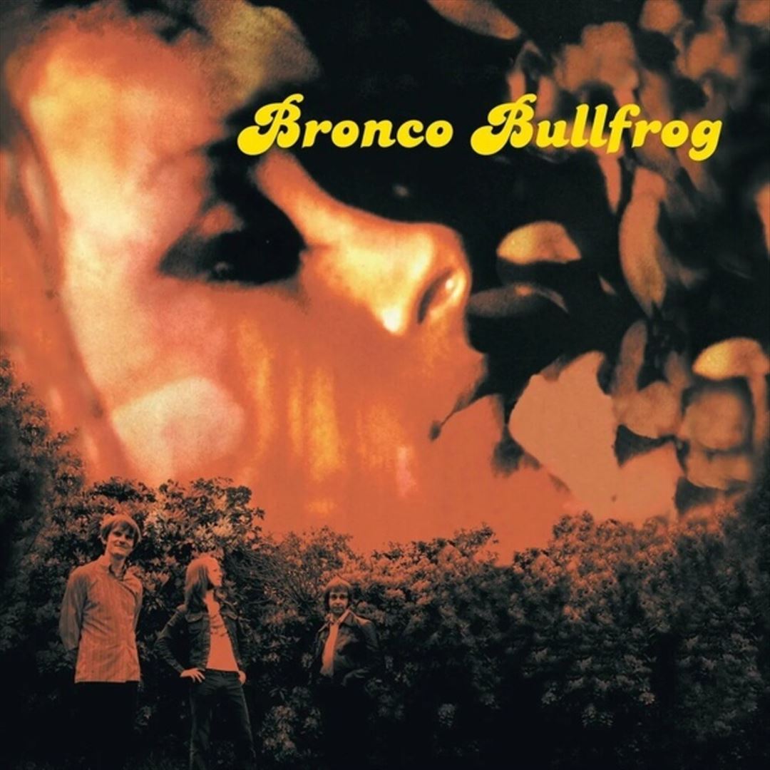 Bronco Bullfrog cover art