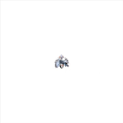 Assassin cover art