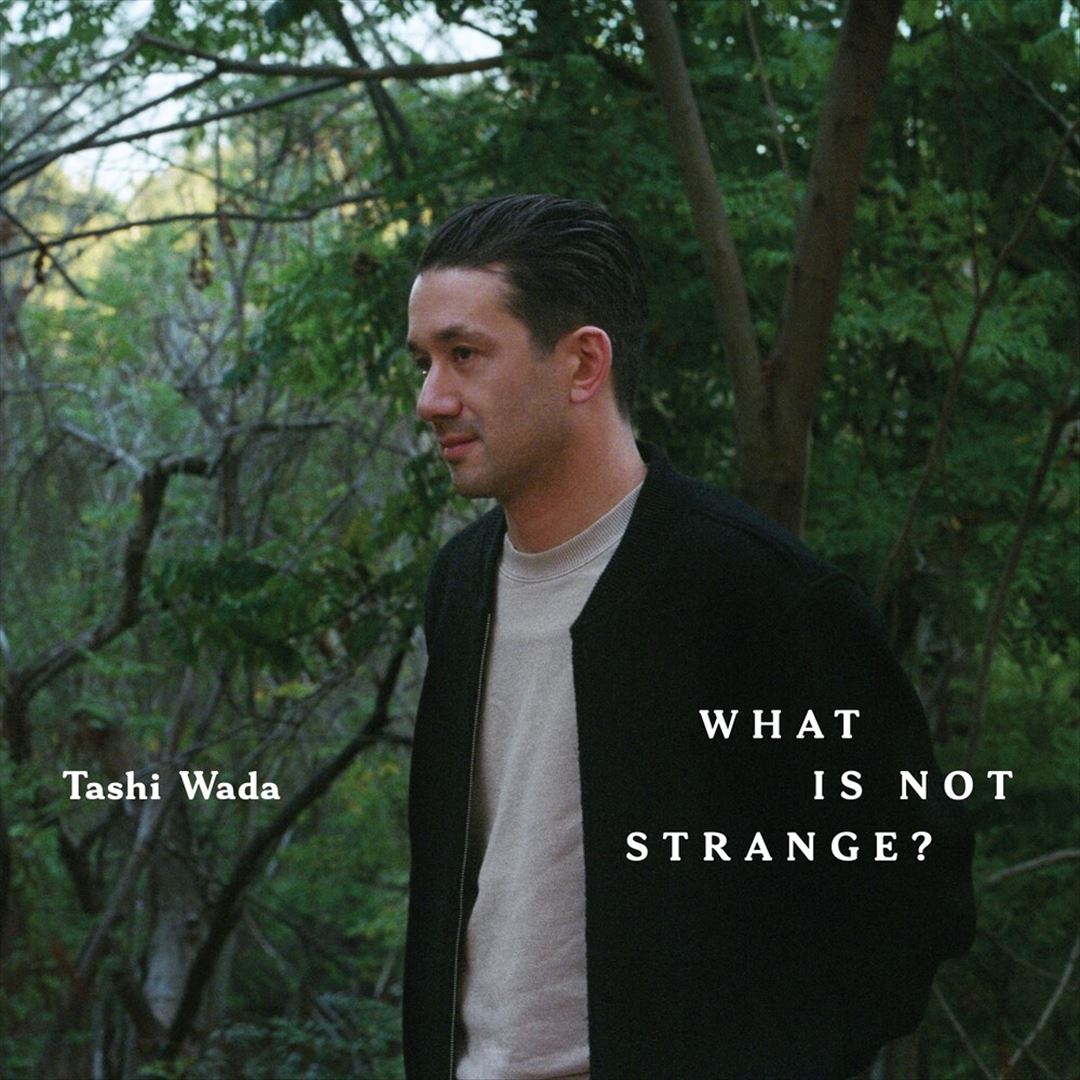 What Is Not Strange cover art