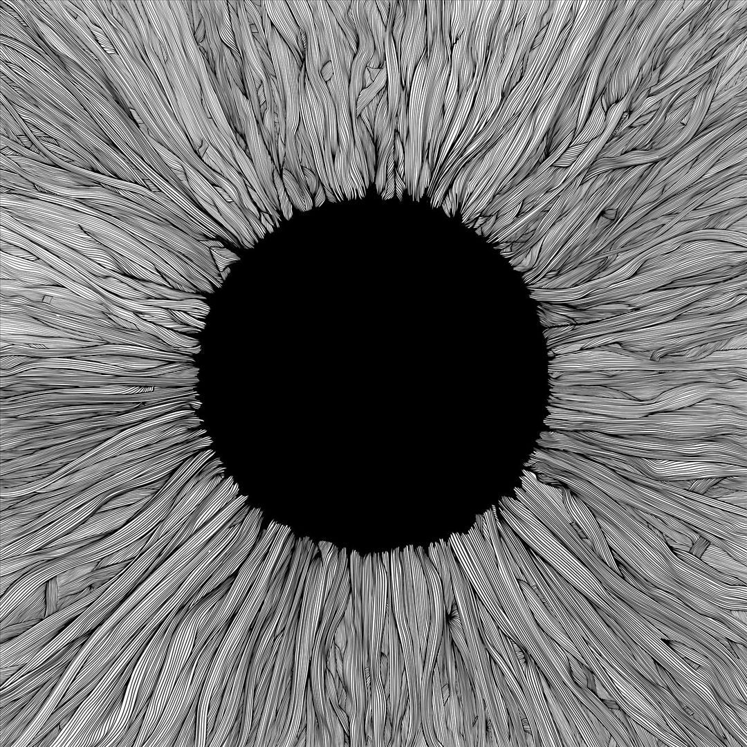 Witness cover art