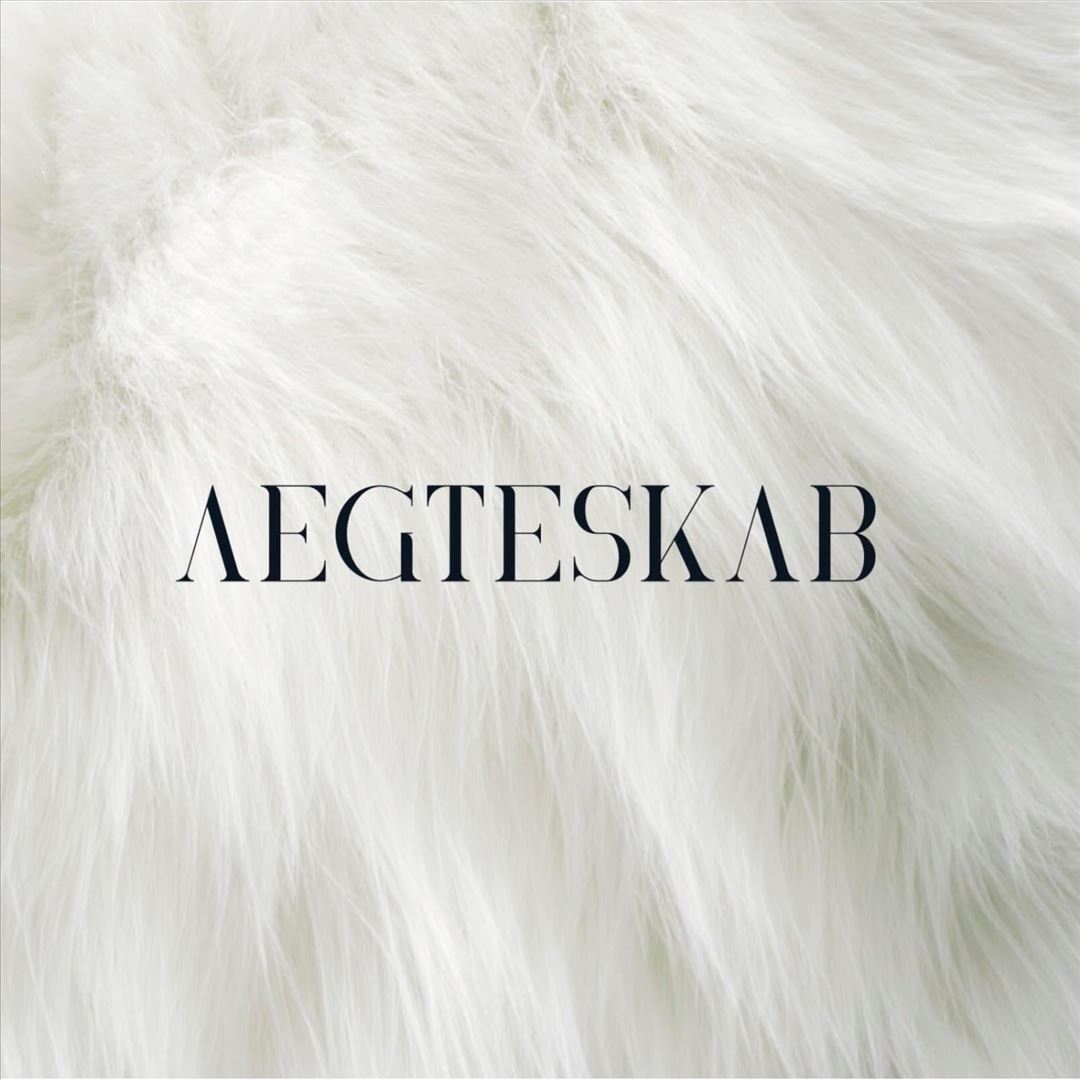 AEGTESKAB cover art