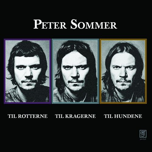 Til rotterne, til kragerne, til hundene cover art