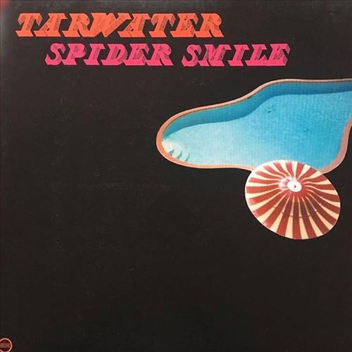 Spider Smile cover art