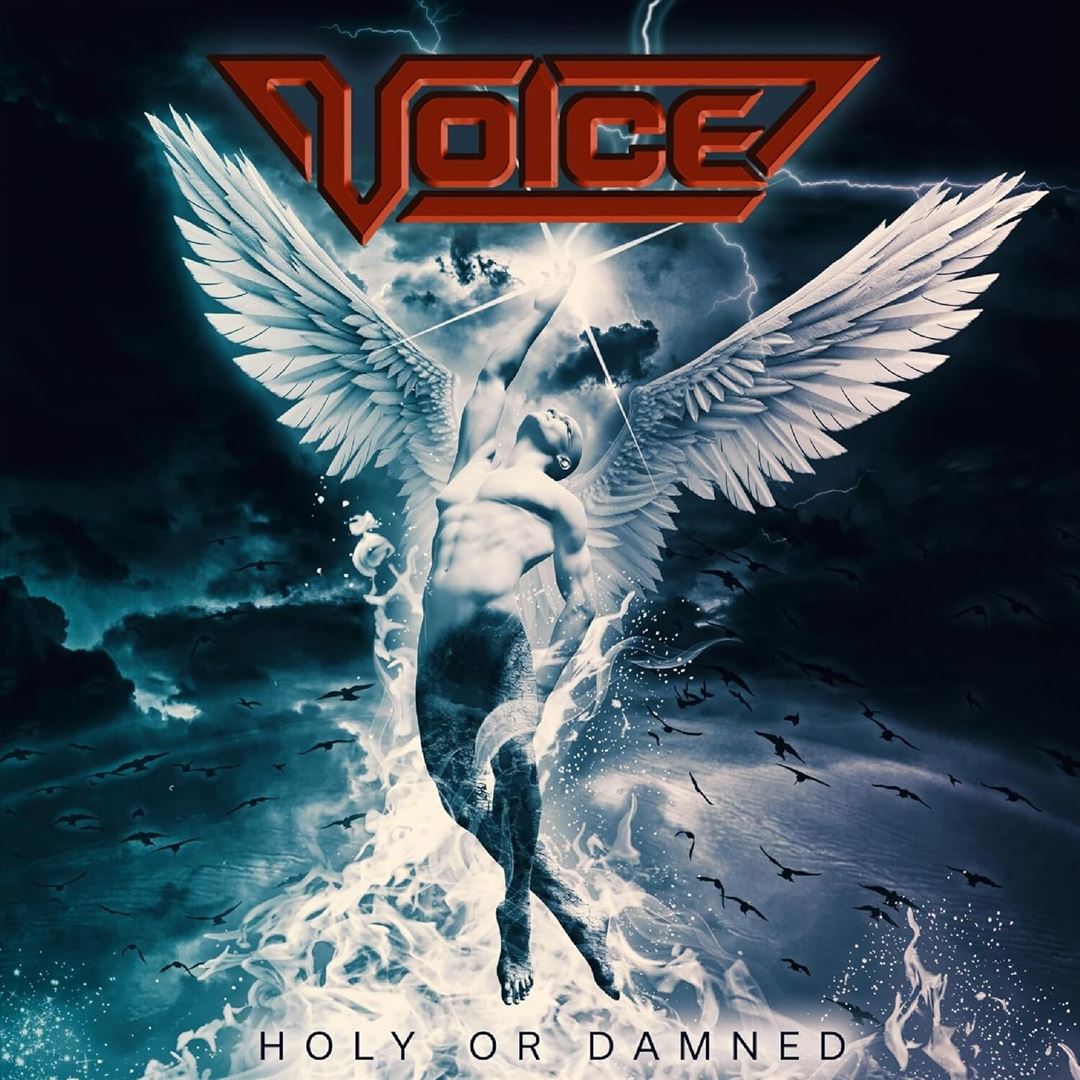 Holy or Damned cover art