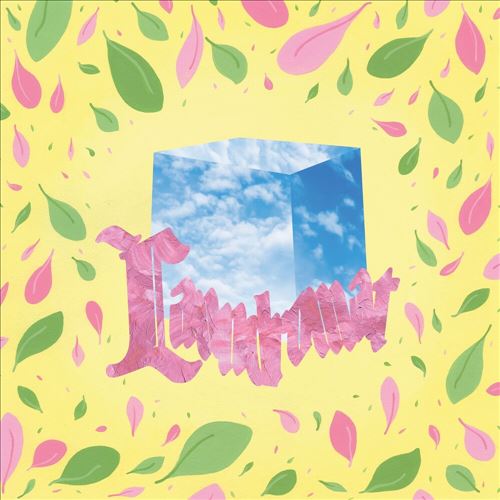 Laundromat cover art