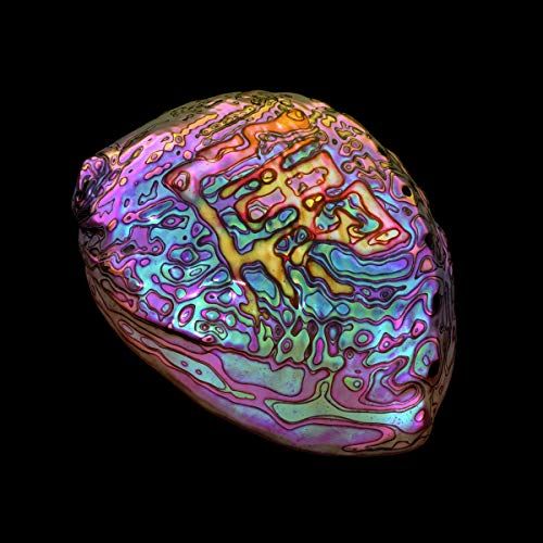 Belonging cover art
