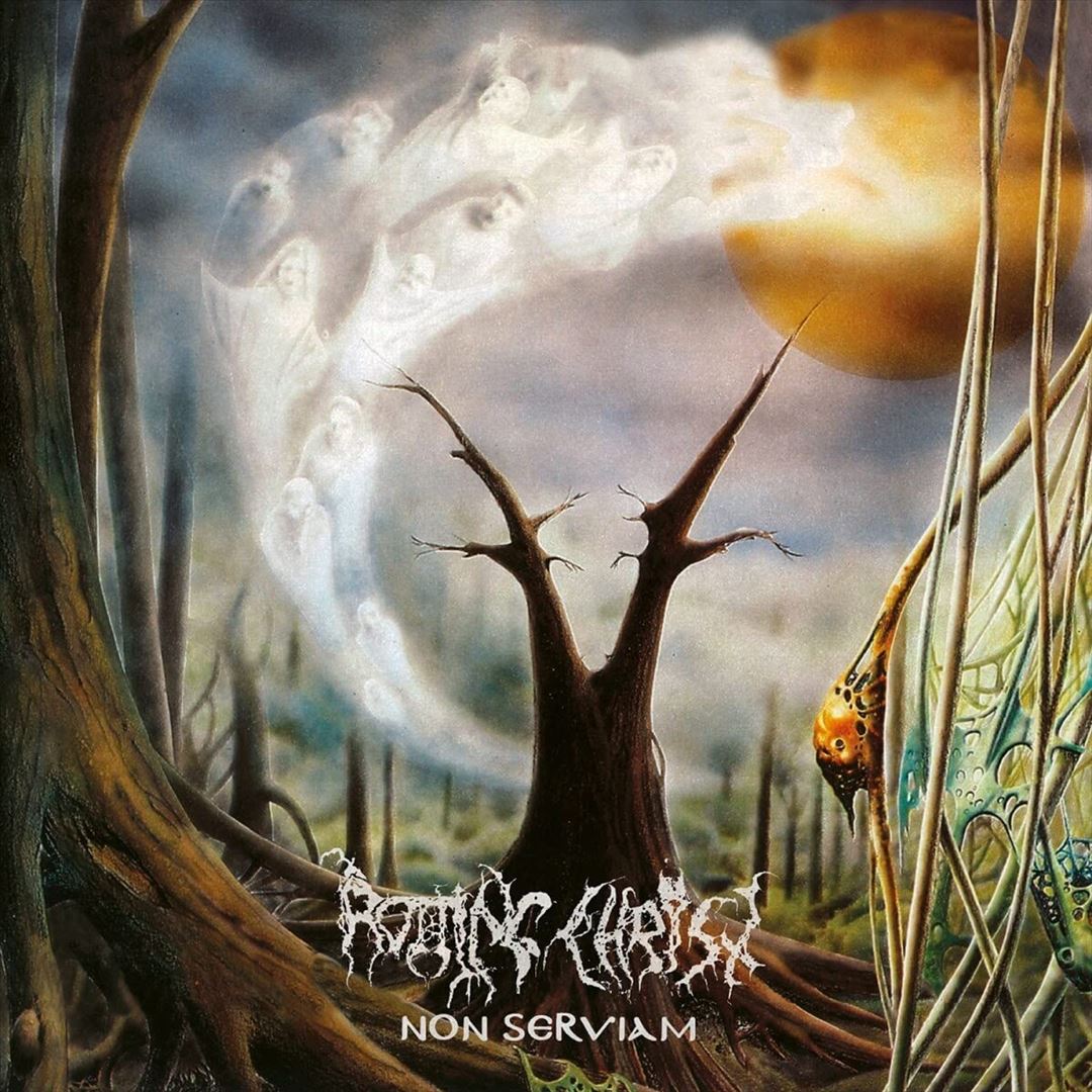 Non Serviam cover art