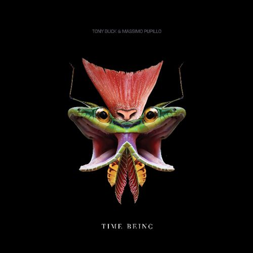 Time Being cover art