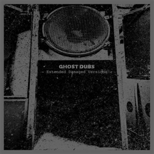 Extended Damaged Versions cover art