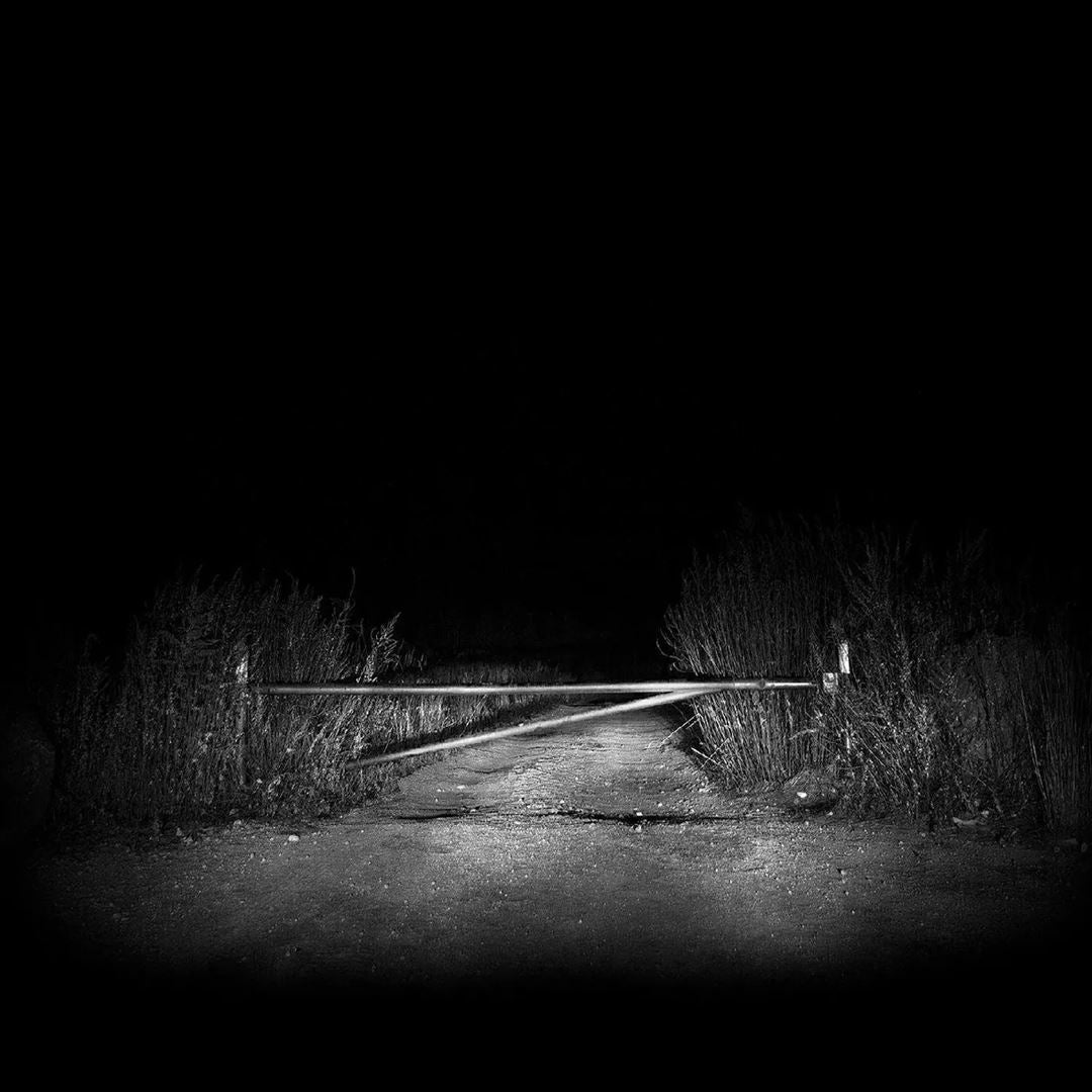 I Have Fought Against It, But I Can't Any Longer. cover art